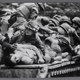 Illustration for article titled Digital images cant be trusted, says war photographer Don McCullinem/em